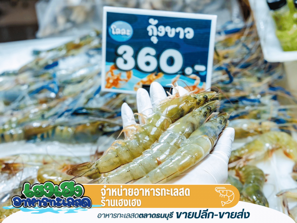 กุ้งขาวคัดพิเศษ